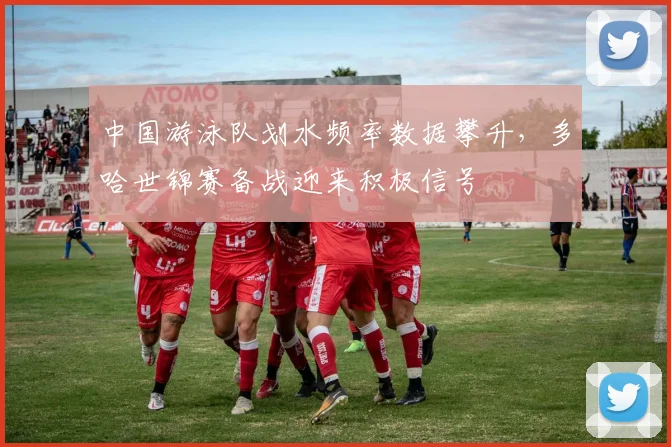 中国游泳队划水频率数据攀升,多哈世锦赛备战迎来积极信号